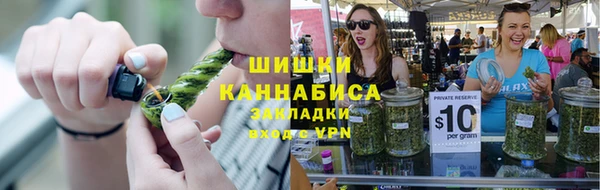 шишки Киренск