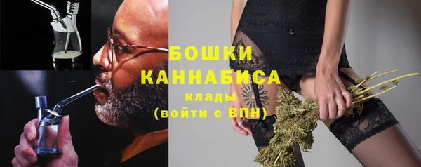 шишки Киренск