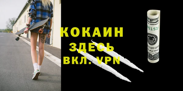 шишки Киренск