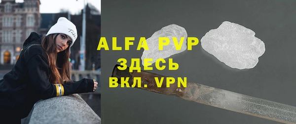 стаф Кинешма