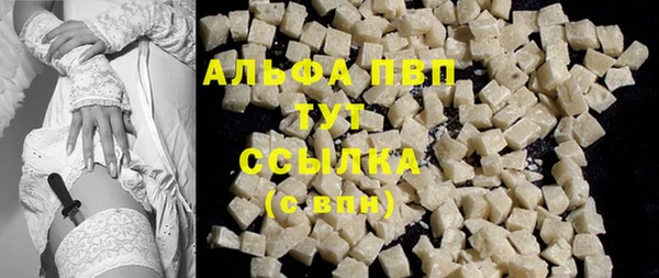 стаф Кинешма