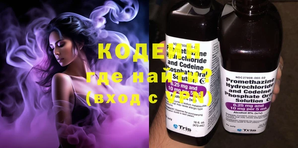 шишки Киренск