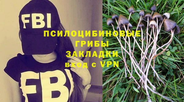 spice Козельск