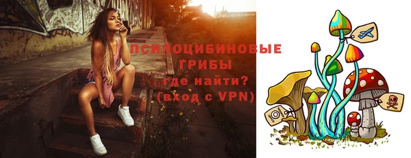 шишки Киренск